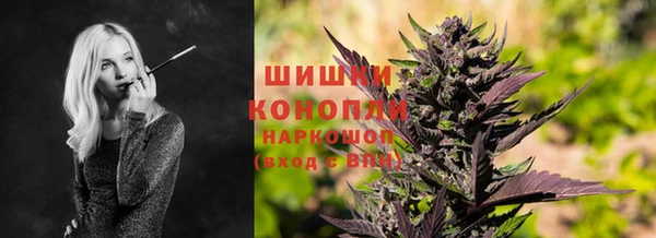 ешки Михайлов