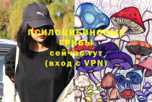 трава Медногорск