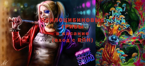 ешки Михайлов