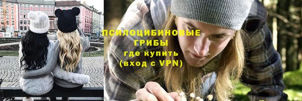 прущие крисы Михайловск